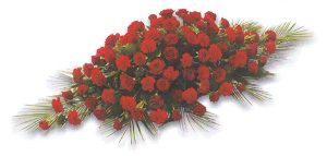 Red Carnation & Rose Spray